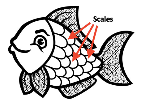 Animal Scale Cliparts