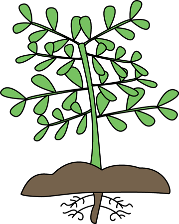 Free Plant Science Cliparts, Download Free Clip Art, Free