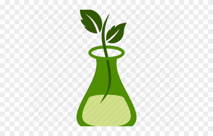 Microscope Clipart Plant Science
