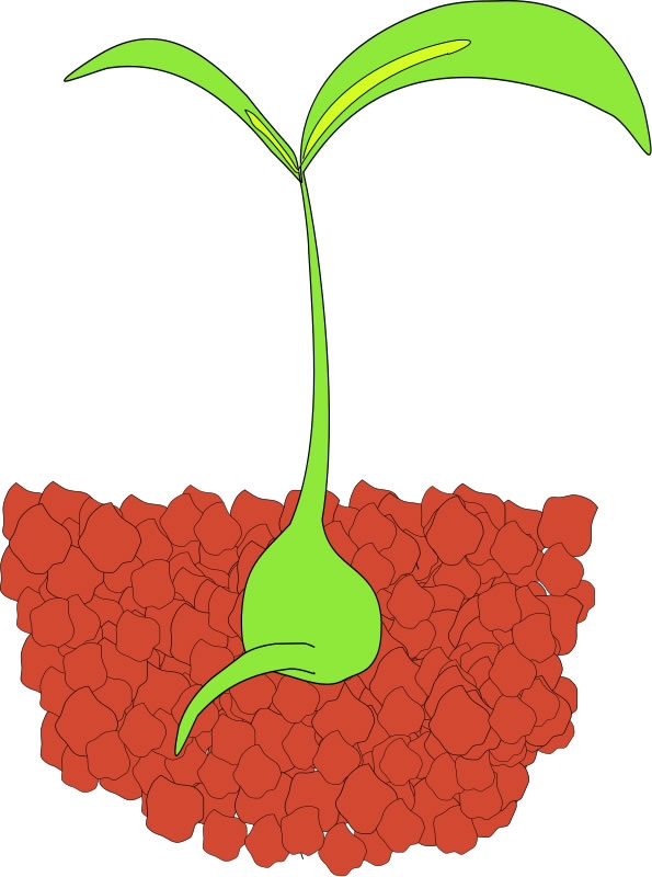 Free Plant Science Cliparts, Download Free Clip Art, Free