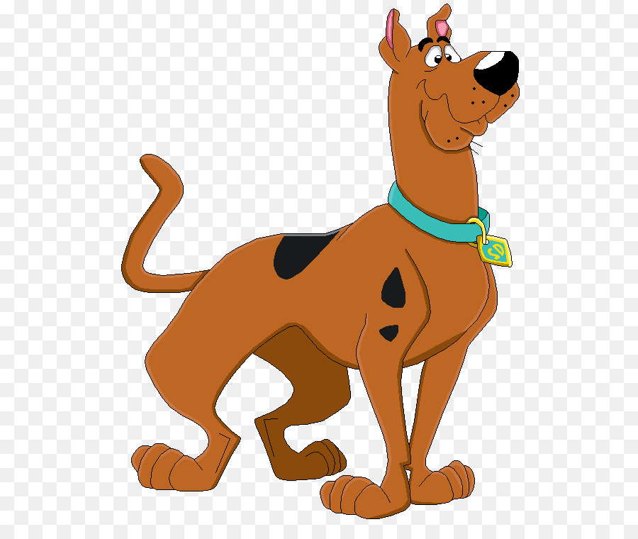 Scooby doo velma.