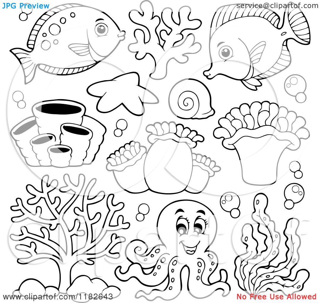 Sea Creatures And An Octopus Royalty Free Vector Clipart By