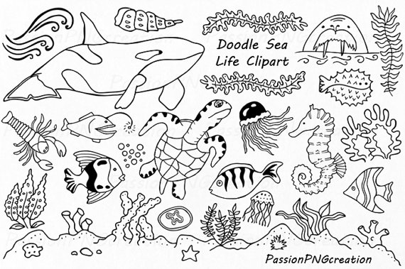 Doodle Marine Life Clipart, Sea Life clip art, Ocean life
