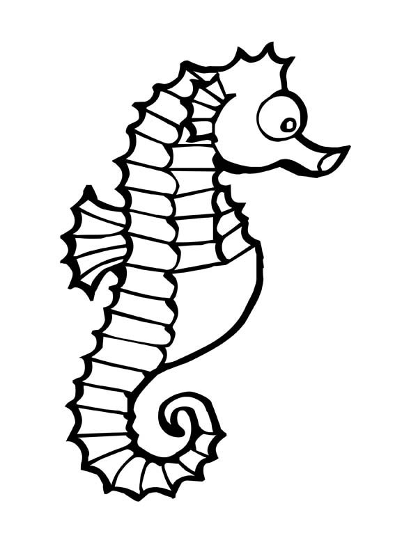 Seahorse Clipart Black And White