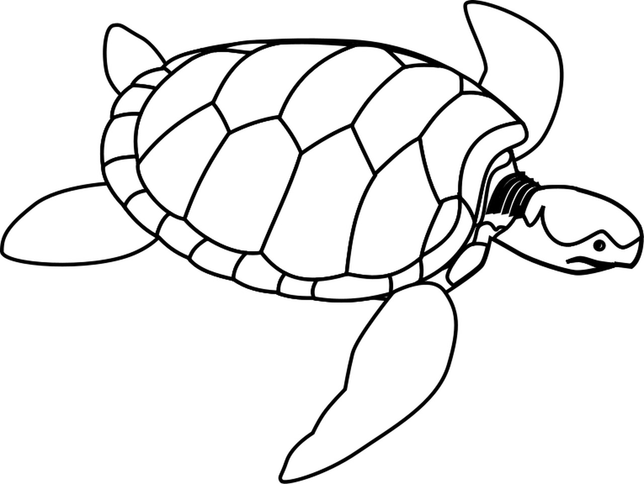 Free Sea Turtle Clip Art Black And White, Download Free Clip