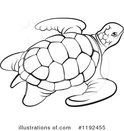 Sea turtle clipart black and white