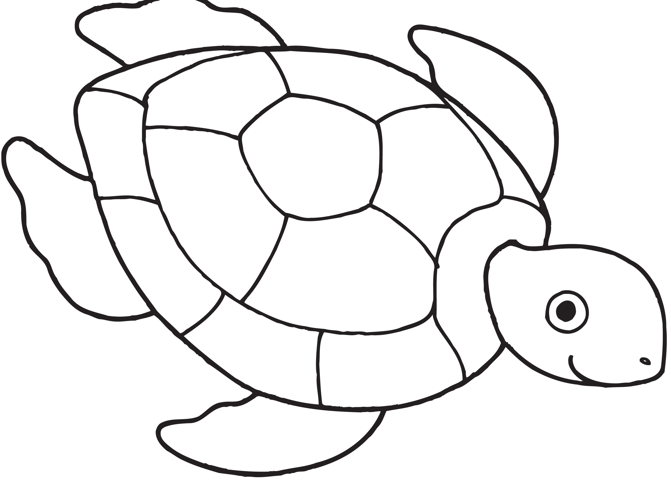 Sea turtle clipart black and white Elegant Drawn sea turtle