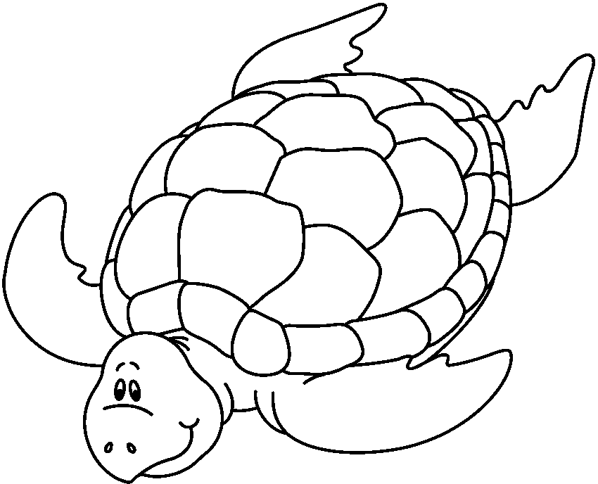 Сердце черепахи поделено на два. Раскраска черепаха. Черепашка раскраска для детей. Черепаха раскраска для малышей. Морская черепаха раскраска для детей.