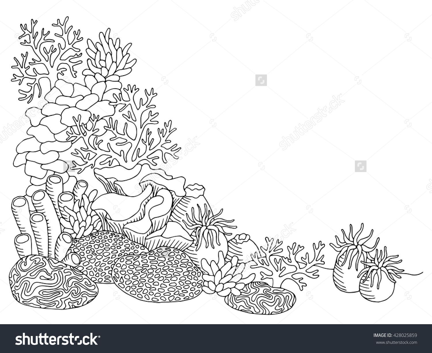 Coral sea graphic art black white underwater landscape