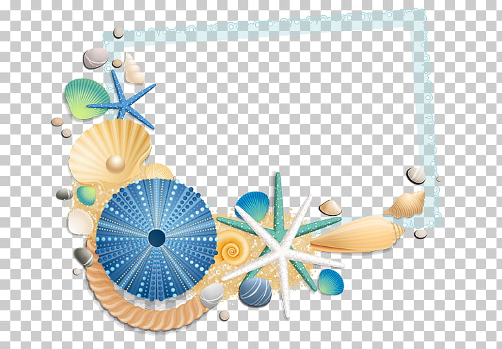 Seashell Beach, love story PNG clipart