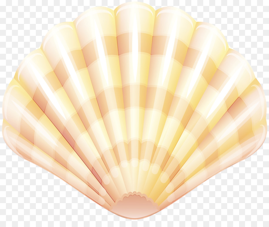 Clam Mussel Cockle Seashell Clip art