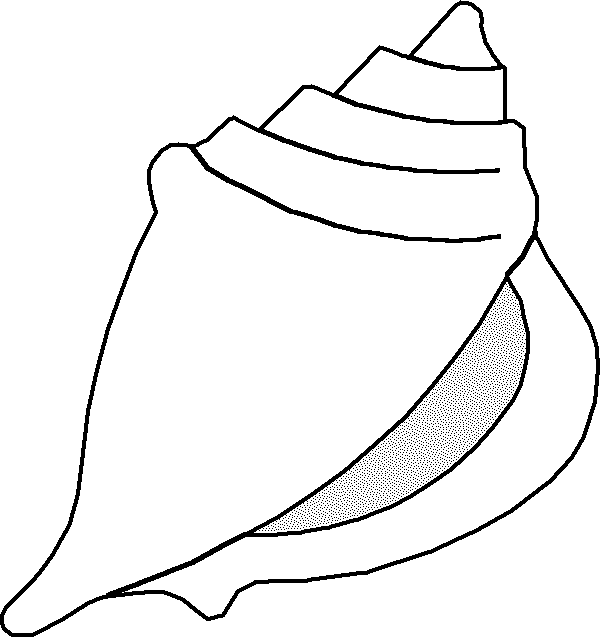 Shell template clipart.