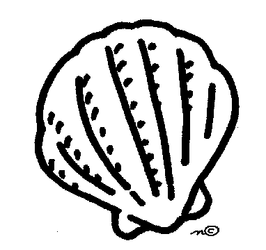 sea shell clipart drawing