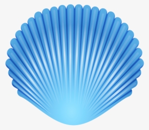 Seashell PNG, Transparent Seashell PNG Image Free Download