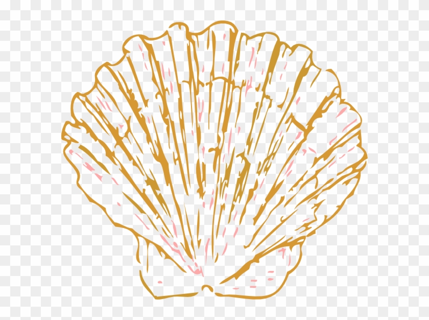 Gold shell clipart.