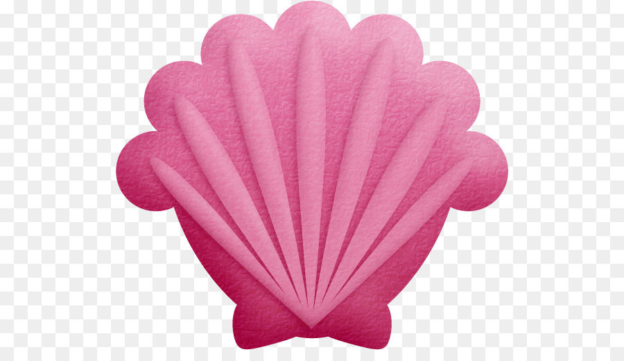 sea shell clipart pink