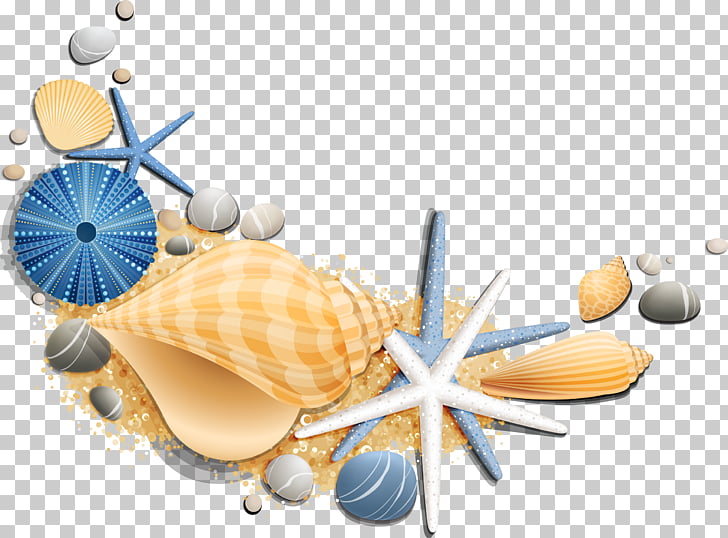 Vacation Sea Summer Beach Suite, seashell PNG clipart