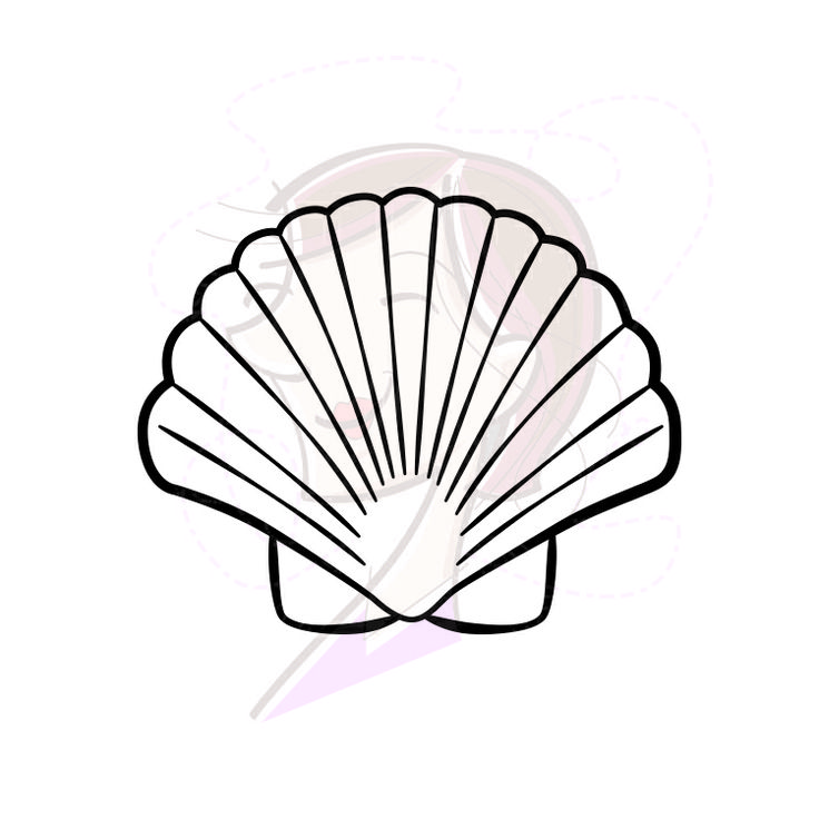 Free Sea Shell Clipart, Download Free Clip Art, Free Clip