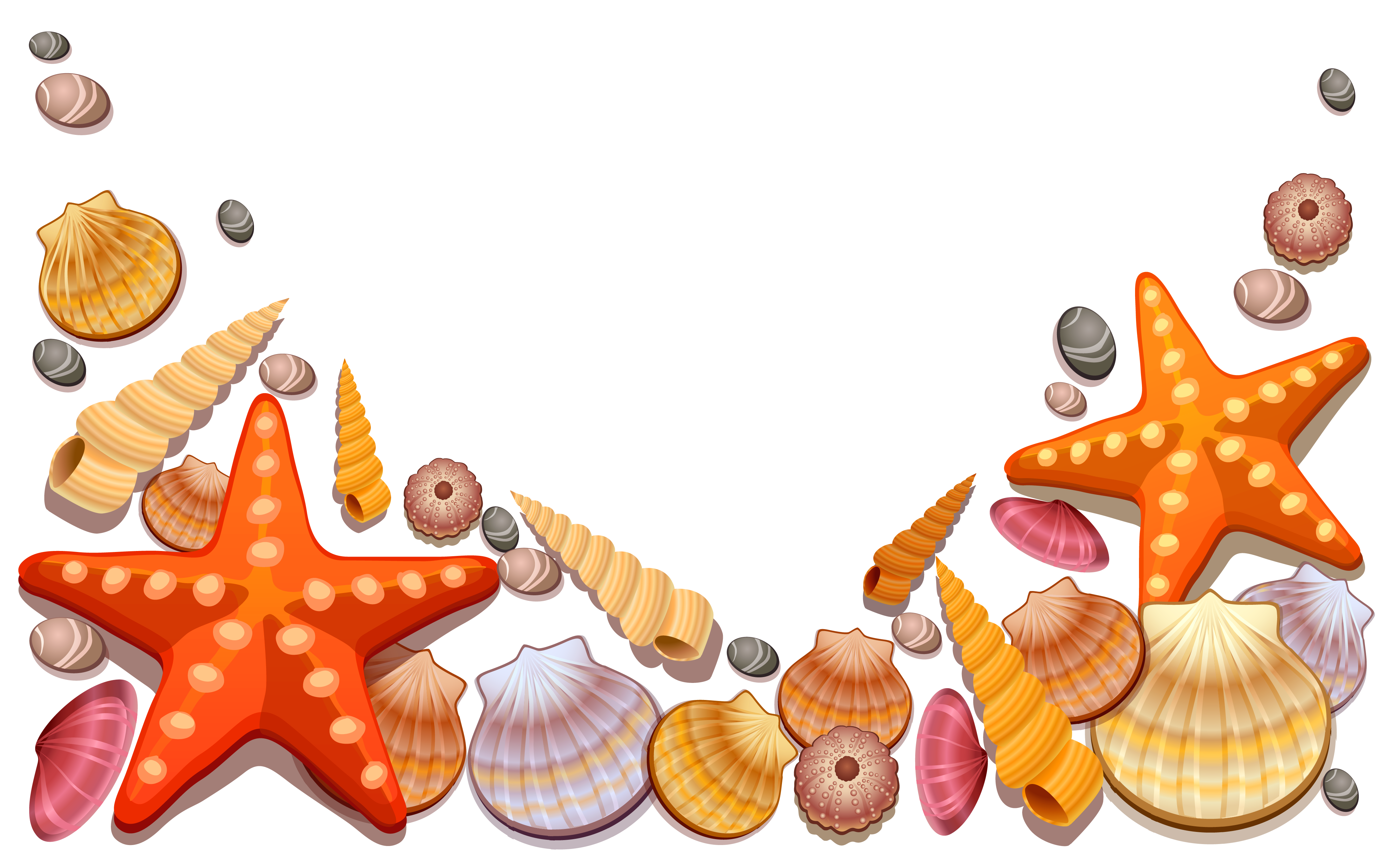 Animated sea shells.