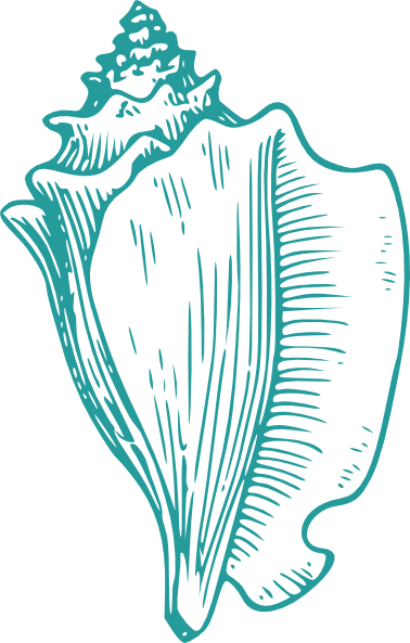 Conch Teal Clip Art at Clker