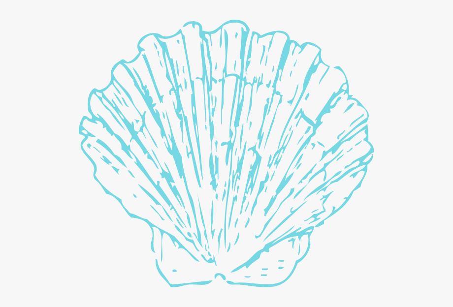 Shell clipart pink.