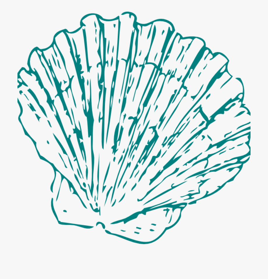 sea shell clipart teal