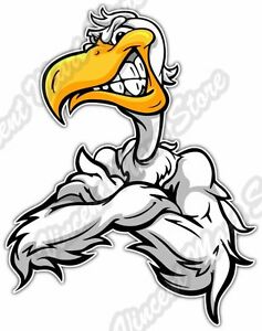 Details about Angry Pelican Sneering Seagull Bird Funny Car Bumper Vinyl  Sticker Decal