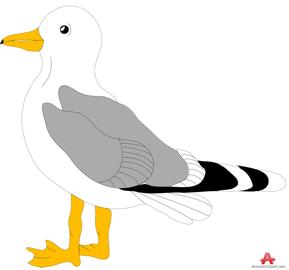 Seagull bird clipart free design download