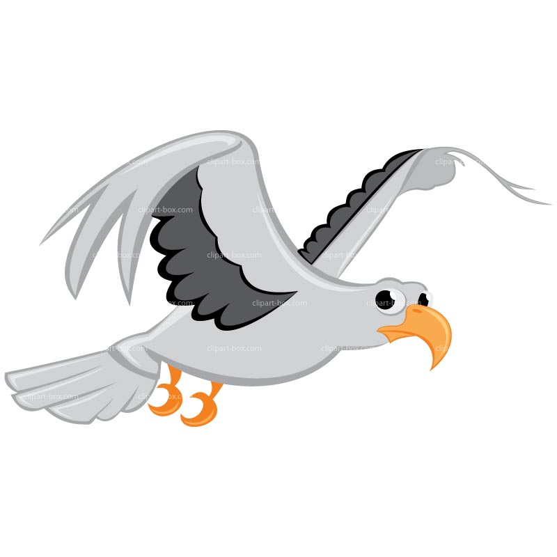 seagull clipart bird