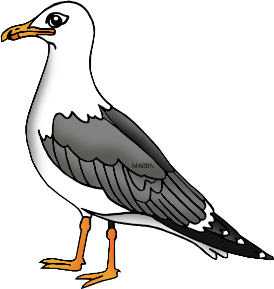 Sea Bird Clipart Seagull