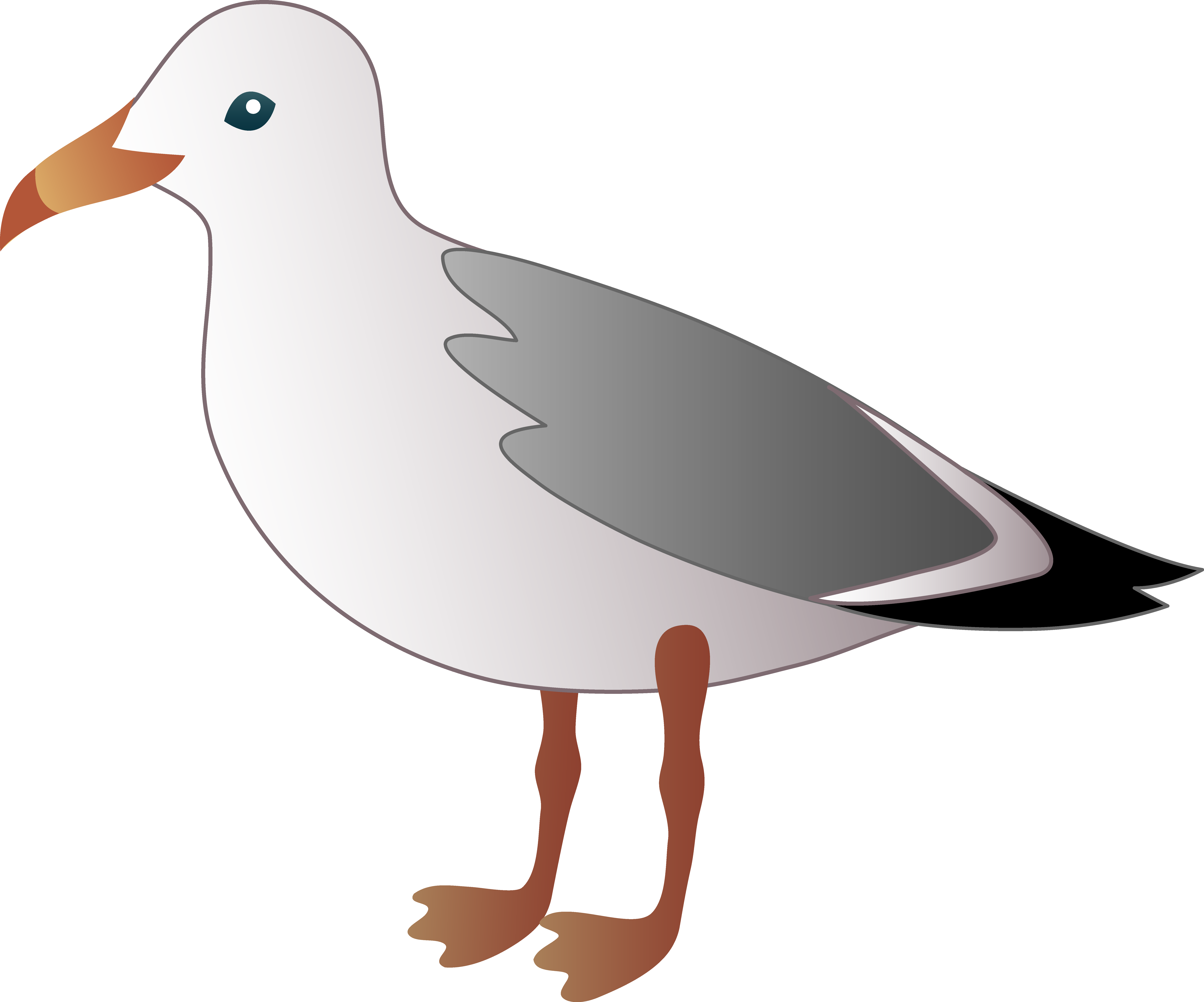 seagull clipart cartoon