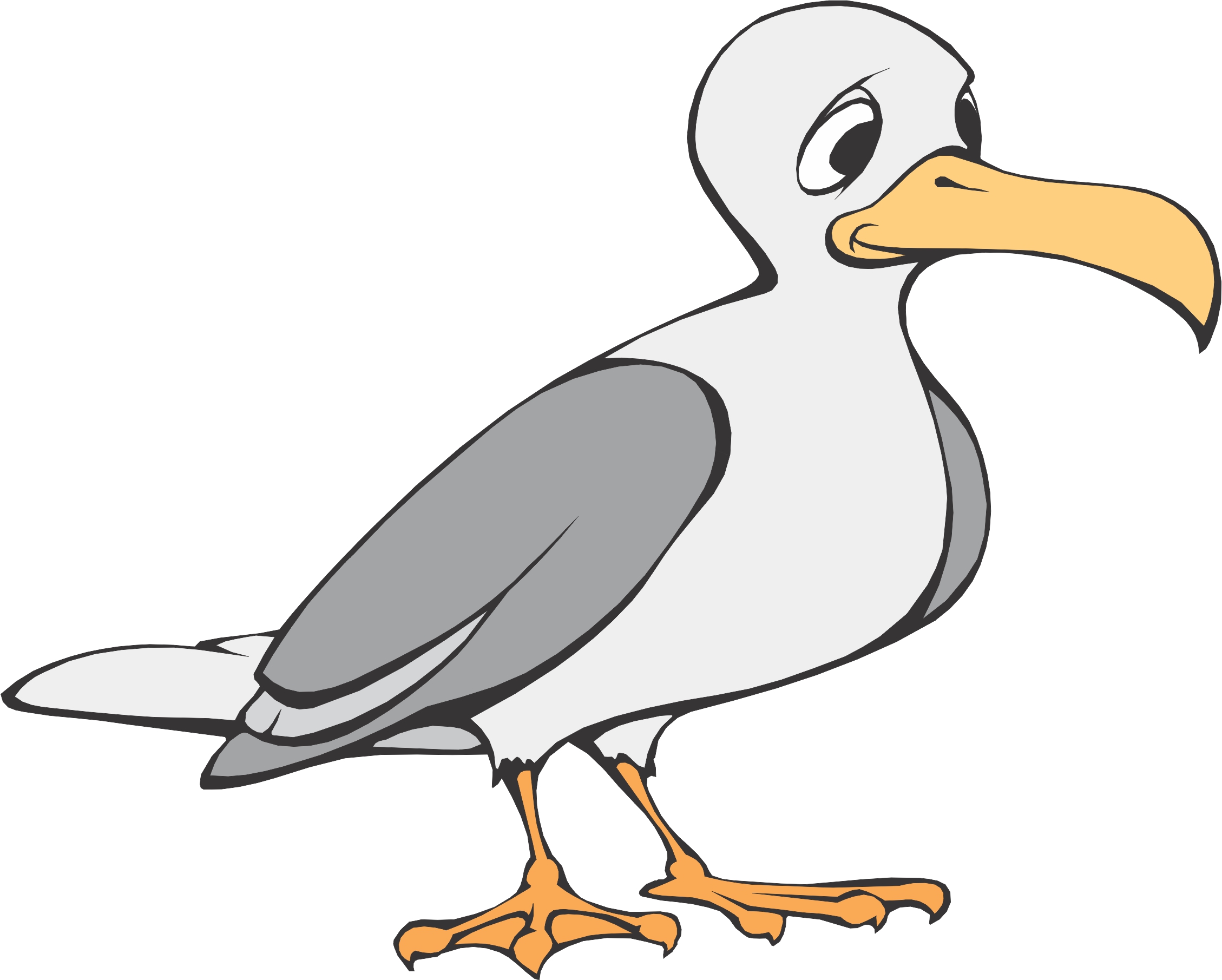Free seagull cliparts.