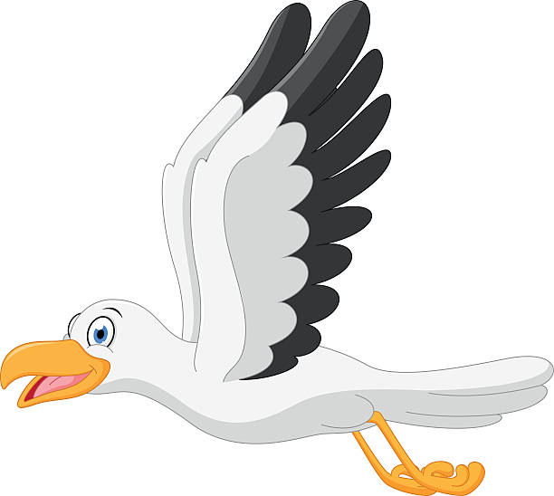 Seagull clipart cartoon pencil and in color seagull