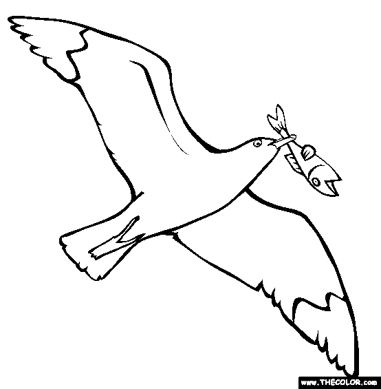 seagull clipart coloring