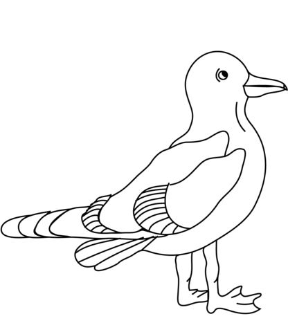 Seagull coloring page.