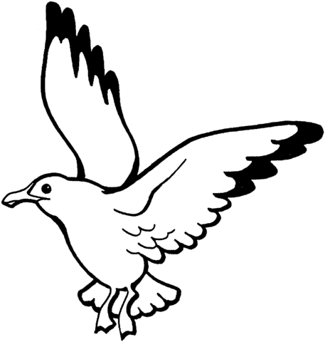 Flying seagull coloring page