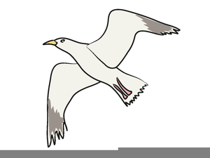 Flying seagull clipart.