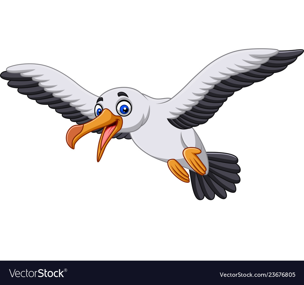 Cartoon albatross bird flying