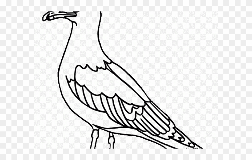 Drawn Seagull Free Clip Art