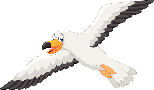 Funny seagulls cliparts free download clip art