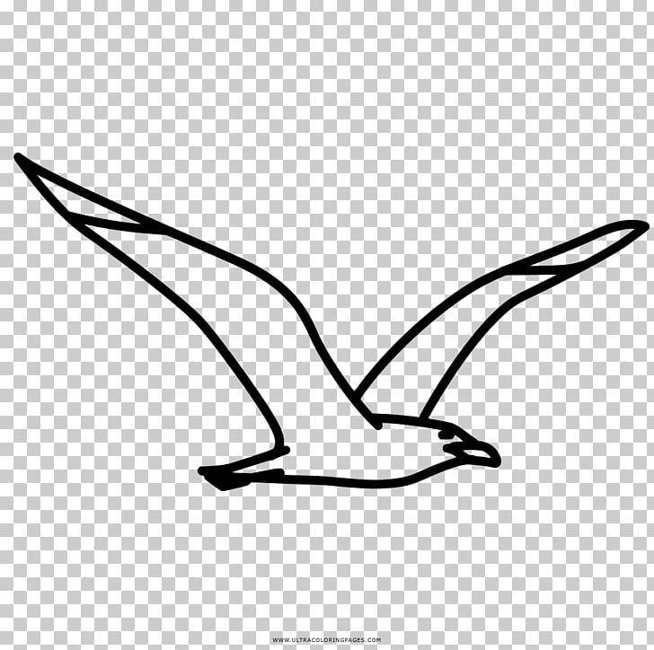 Coloring Book Drawing Gulls Kyanite PNG, Clipart, Free PNG
