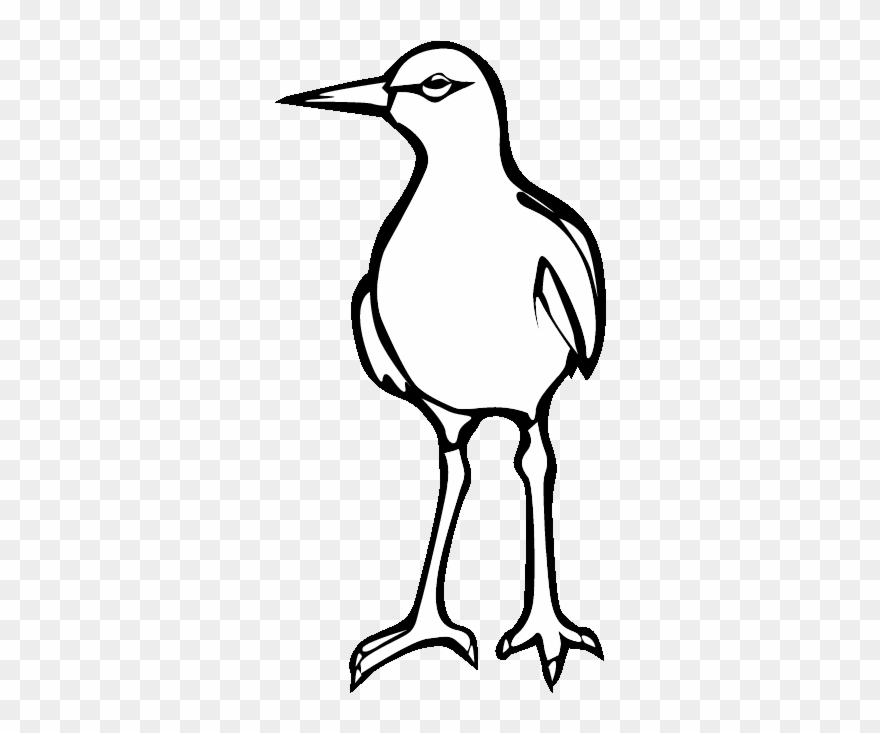 Eps Seagull