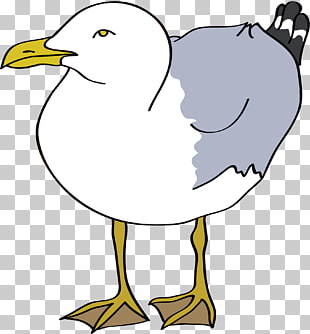 Cartoon seagull png.