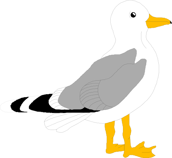 Free seagull outline.