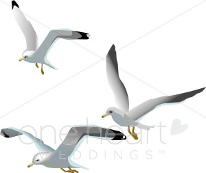 Seagulls Clipart