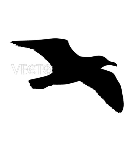 Seagull silhouette seagull.