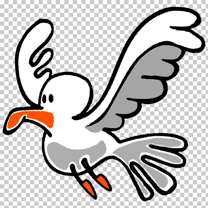 seagull clipart free water