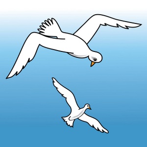 Free Bird Water Cliparts, Download Free Clip Art, Free Clip