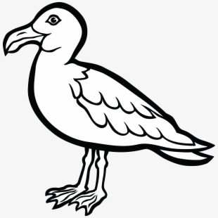 Seagull Png , Transparent Cartoon, Free Cliparts