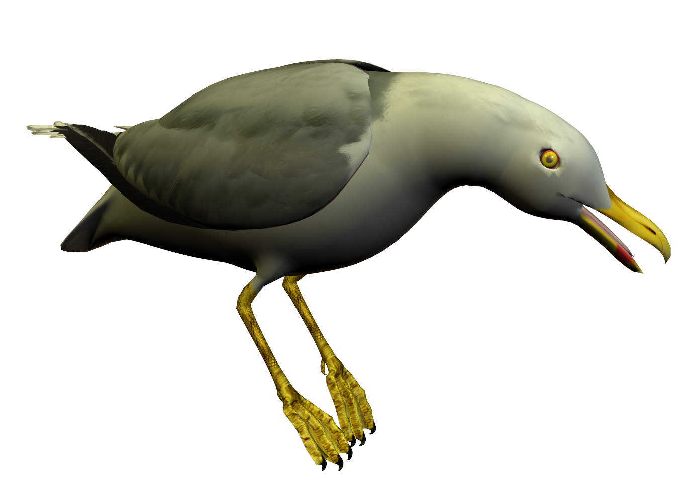 Seagull Clipart